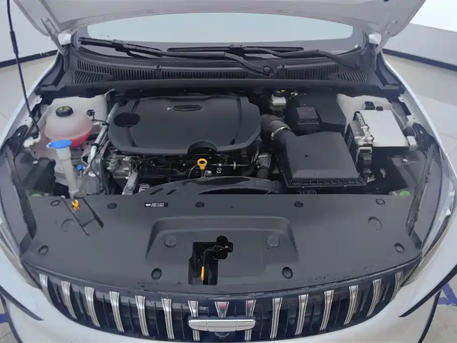 GEELY AUTOMOBILE BINRUI