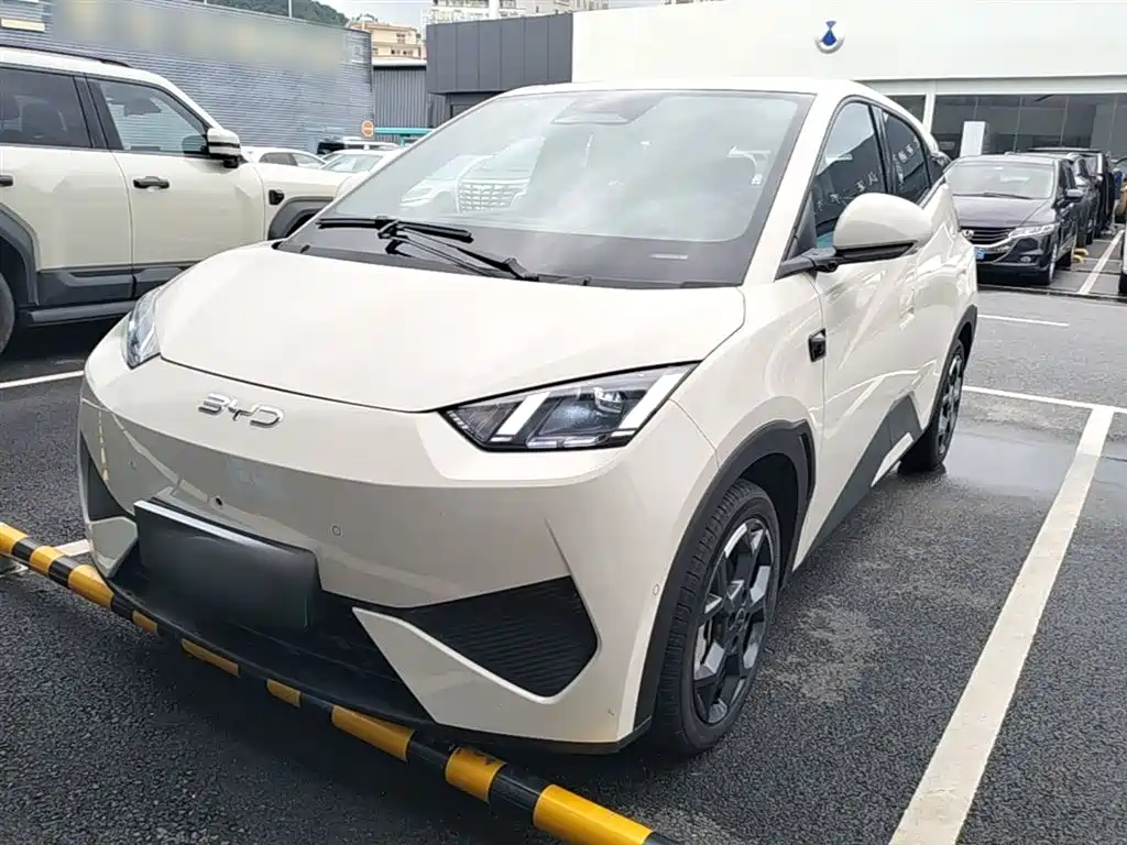 BYD Seagull 2025 Smart Drive Edition 305km Freedom Version фото 2