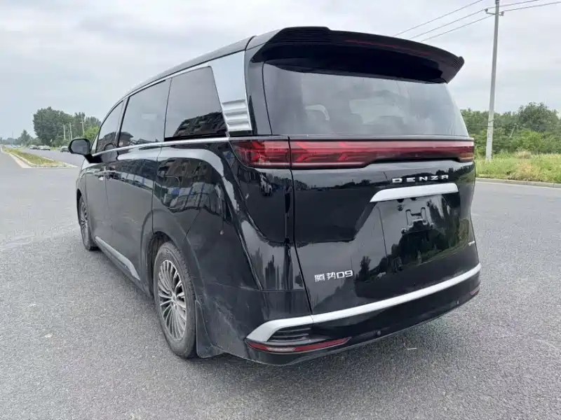 Denza D9 2022 DM-i 970 AWD Flagship фото 9