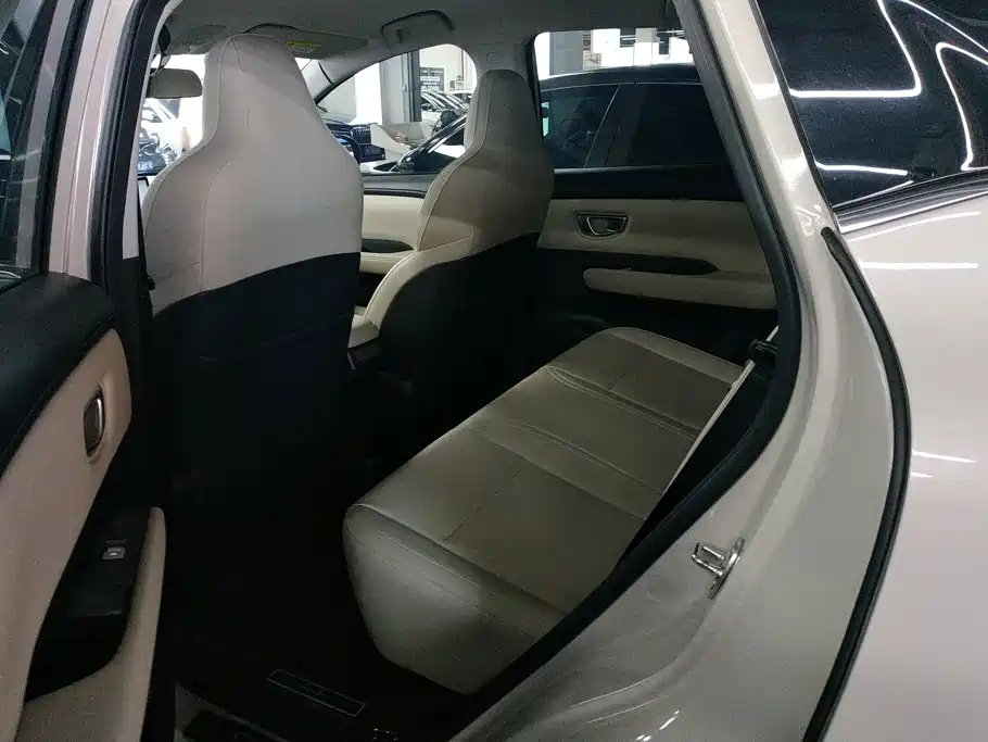 Wuling Motors Wuling Binguo PLUS 2025 2024 401km Range 5-seater