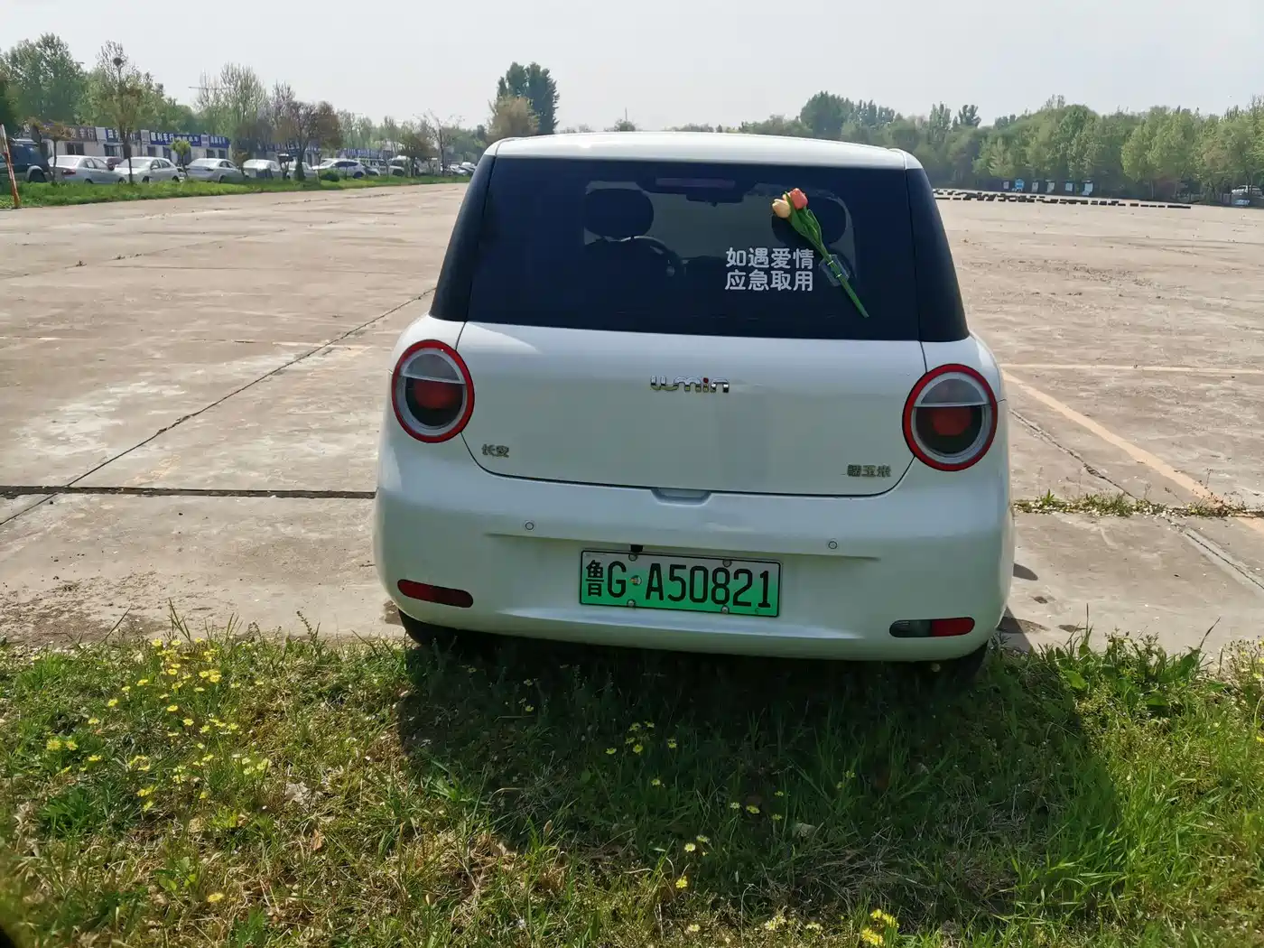 CHANGAN QIYUAN CHANGAN LUMIN