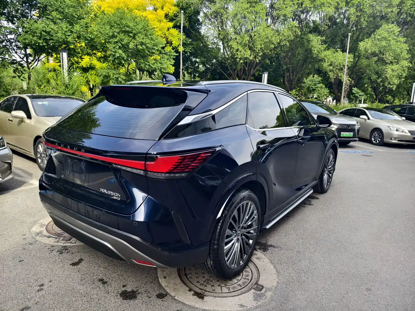 Lexus RX 2023 350h 4WD Pure Edition фото 4