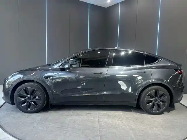 Tesla Model Y 2024 Rear-Wheel Drive Version — фото 4