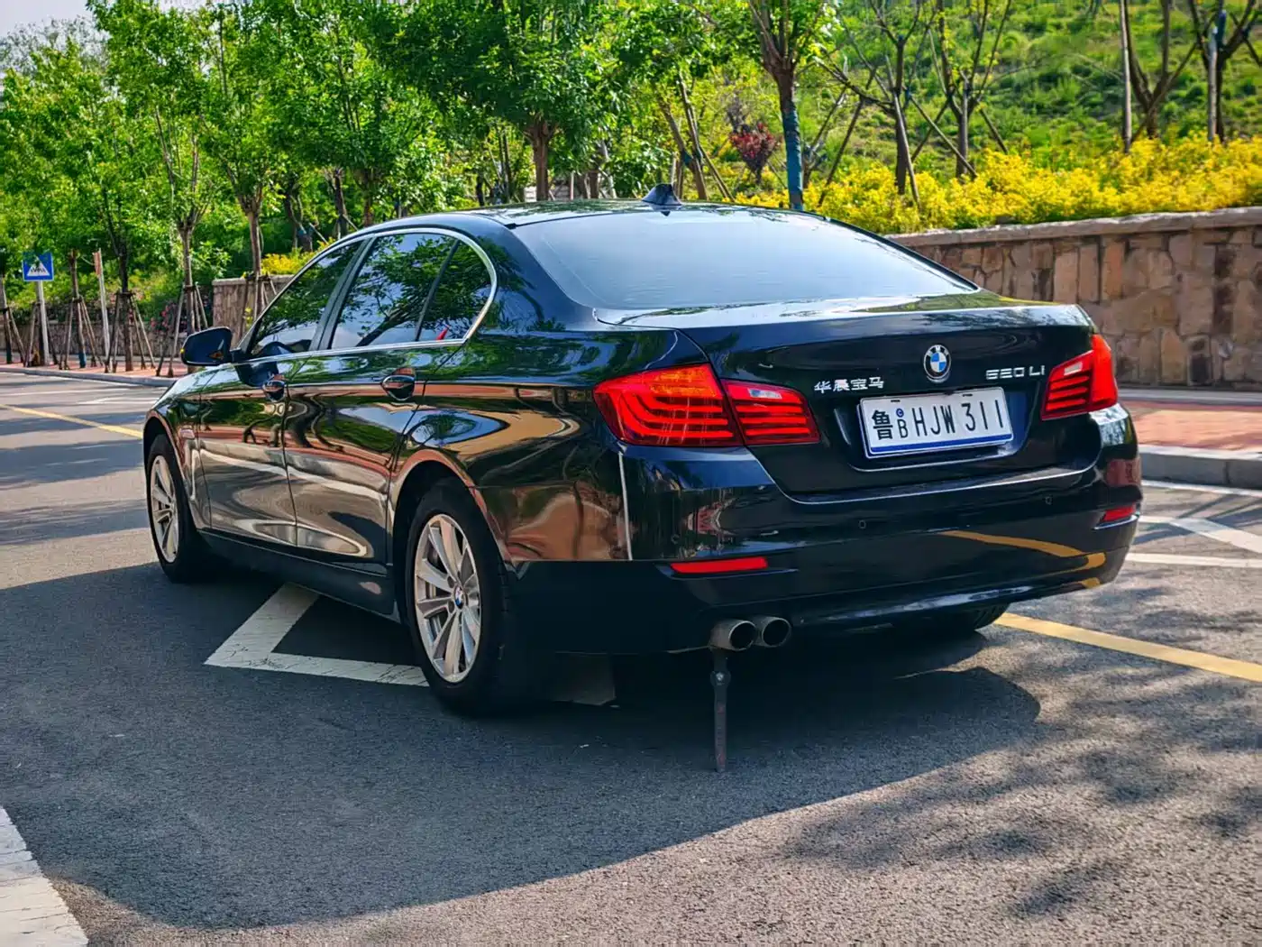BMW 5 Series 2014 520Li Elegance фото 4