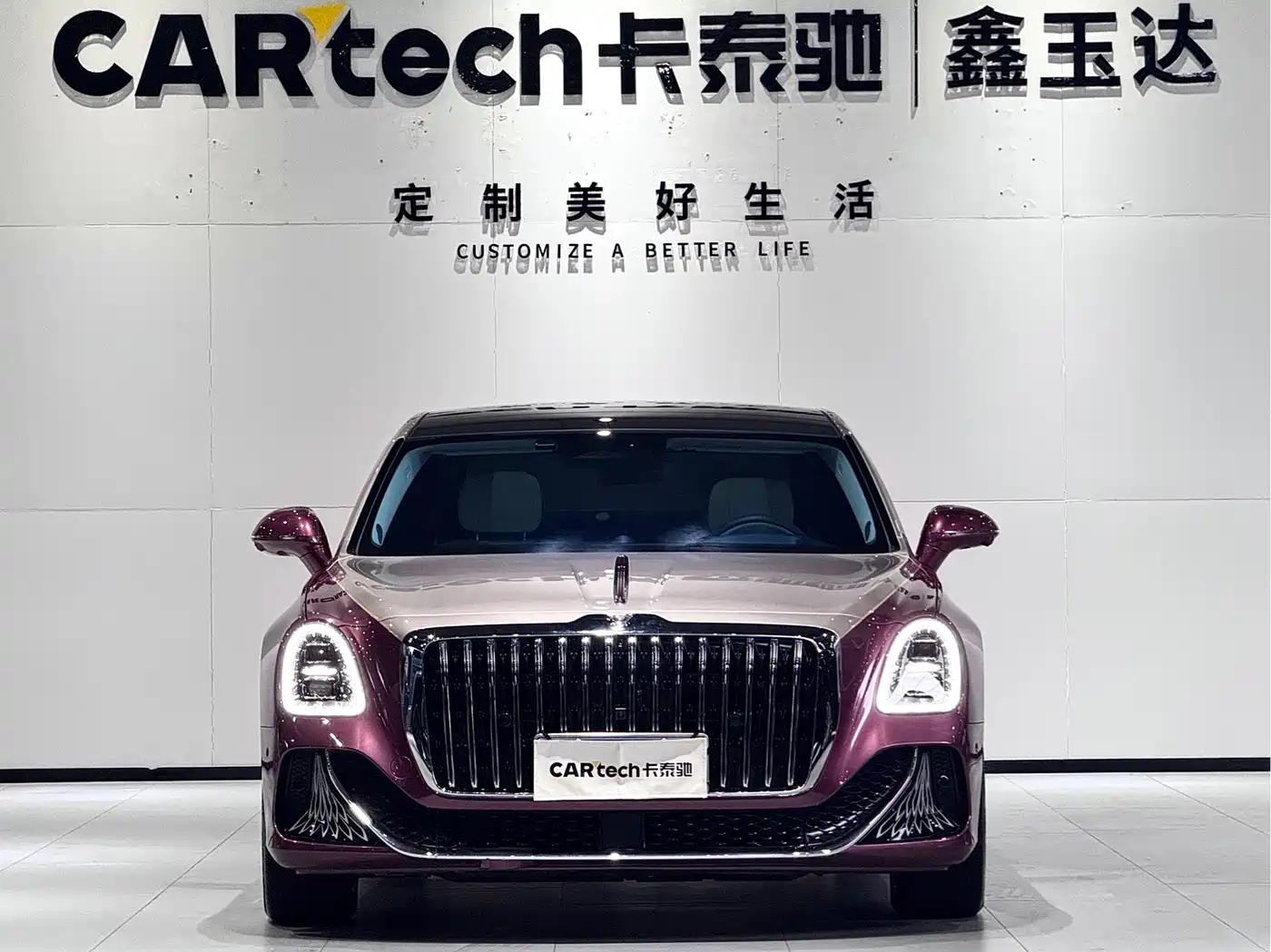 Hongqi Guoya 2024 4.0T V8 Version фото 2