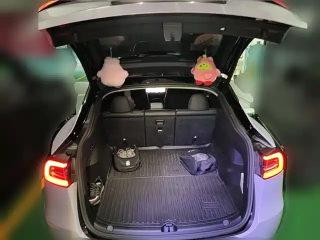 Tesla Model Y 2022 Rear-Wheel Drive Version — фото 5