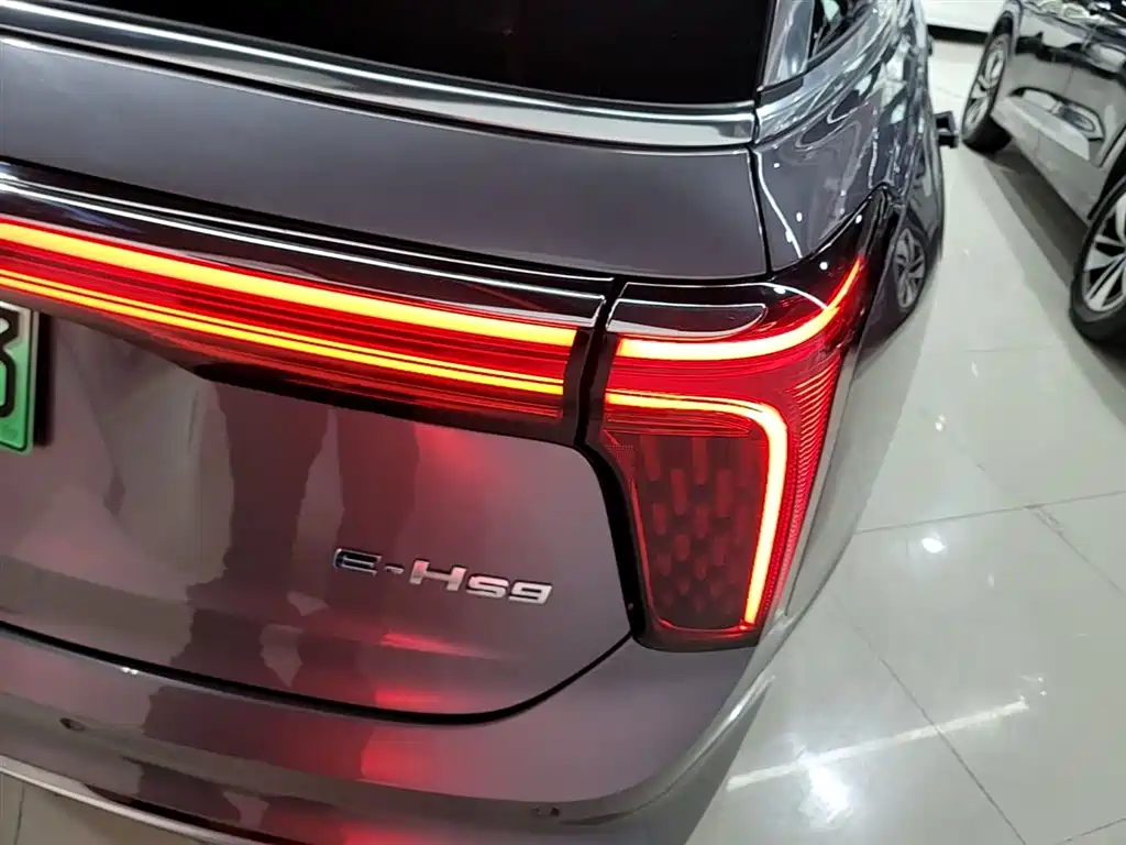 Hongqi E-HS9 2022 660km Qi Chang Edition (6-seater) фото 8