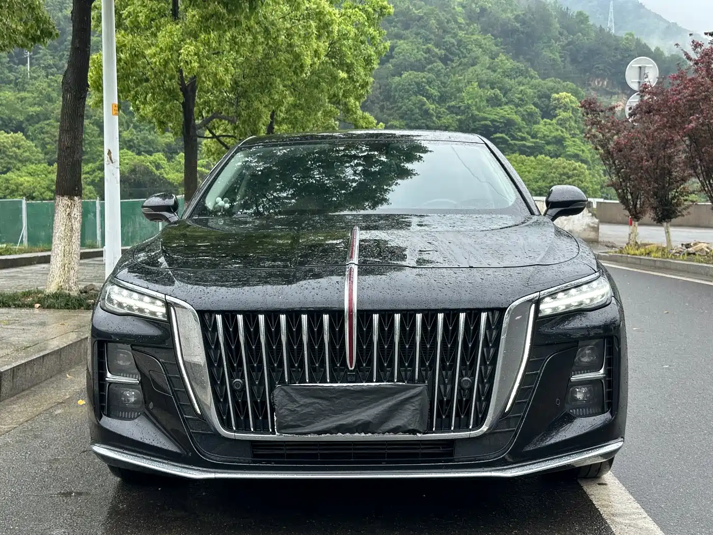 Hongqi H5 2023 2.0T Auto Smart Connect Flagship фото 2