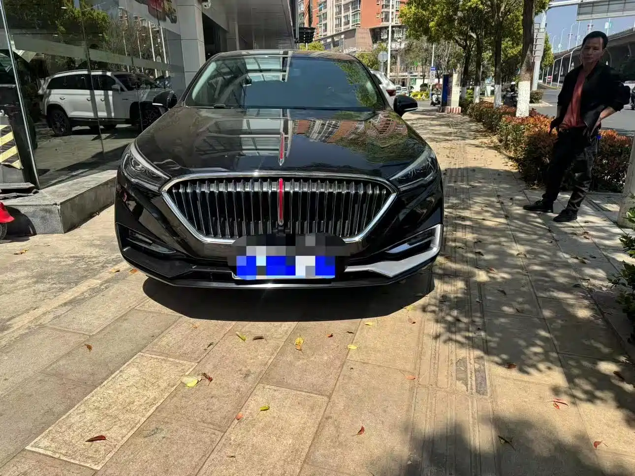 Фото 3 - Hongqi H5