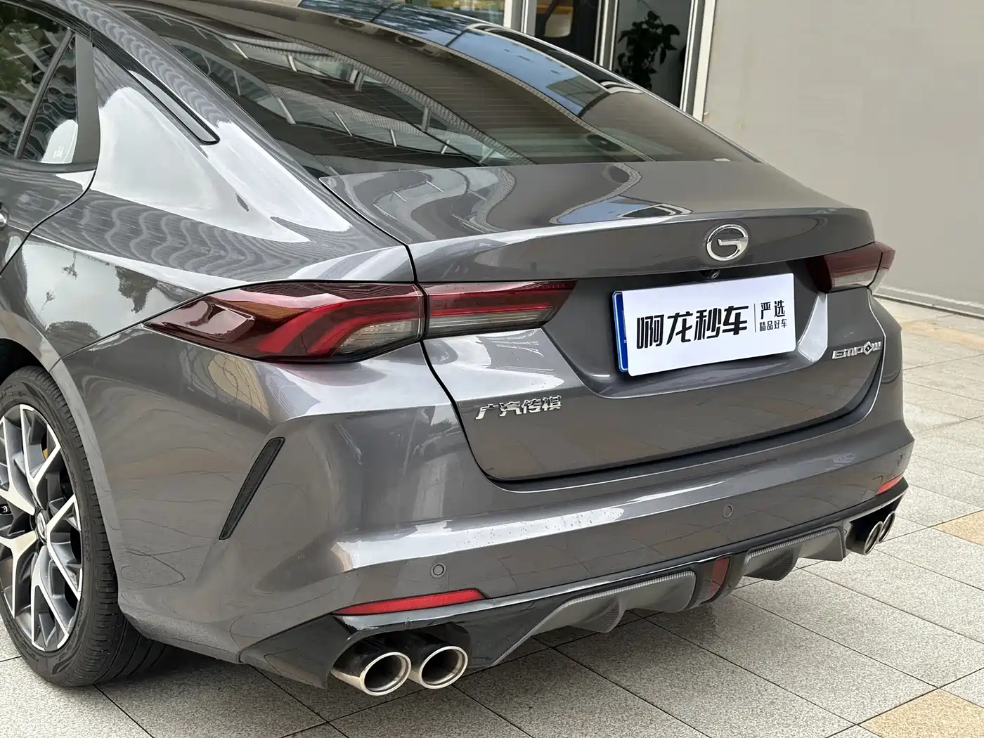 GAC SHADOW LEOPARD