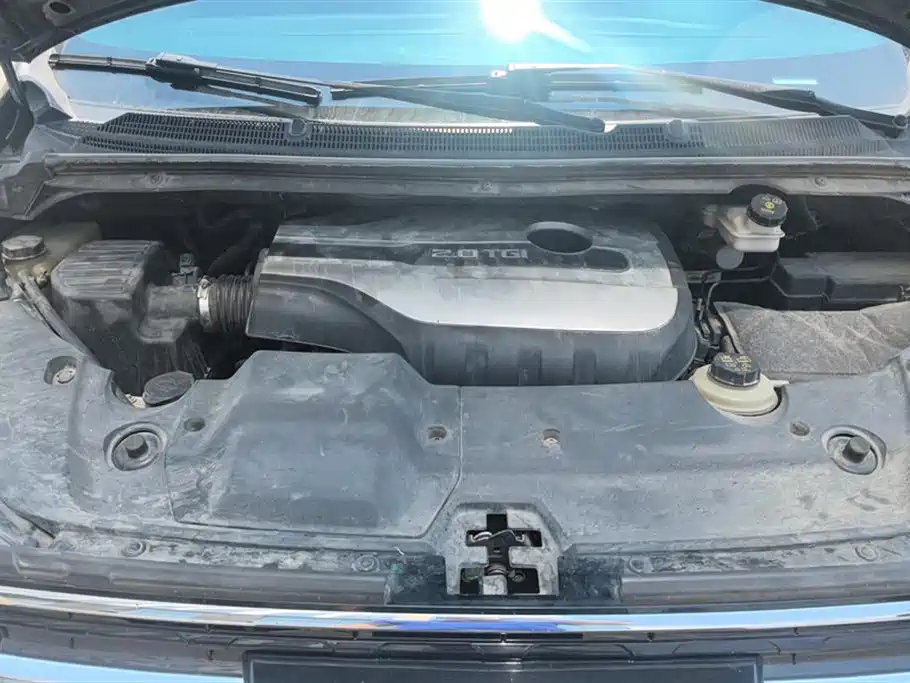 SAIC MAXUS CHASE G20