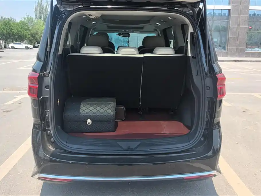 SAIC MAXUS CHASE G20