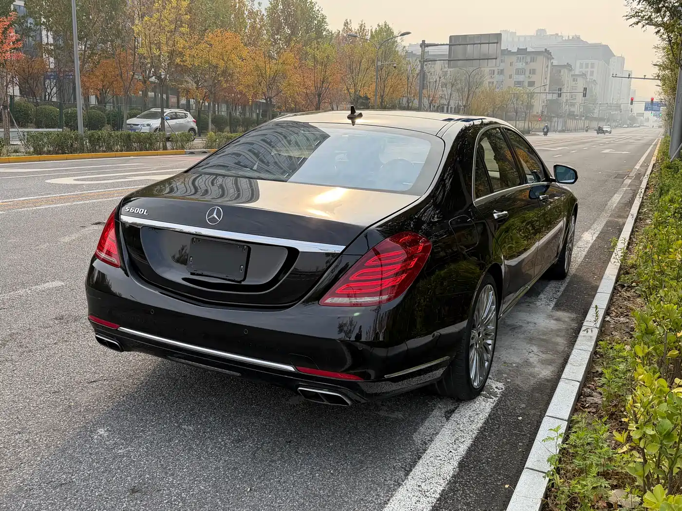 Mercedes-Benz S-Class 2014 S 600 L фото 2
