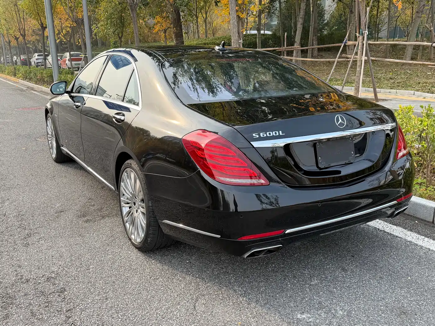 Mercedes-Benz S-Class 2014 S 600 L фото 4