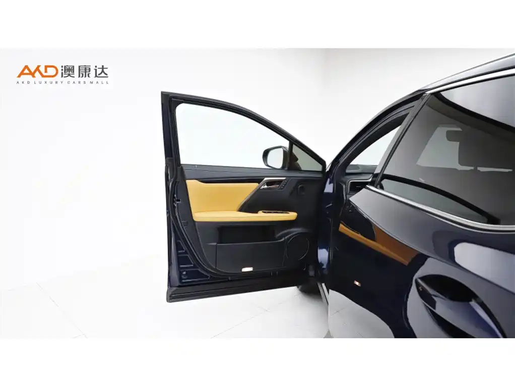 Фото 10 - Lexus RX