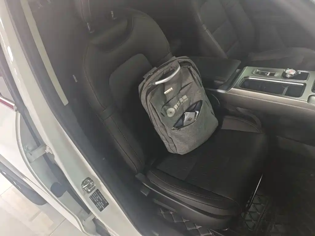 Haval Big Dog 2025 2024 1.5T DCT Border Collie Edition