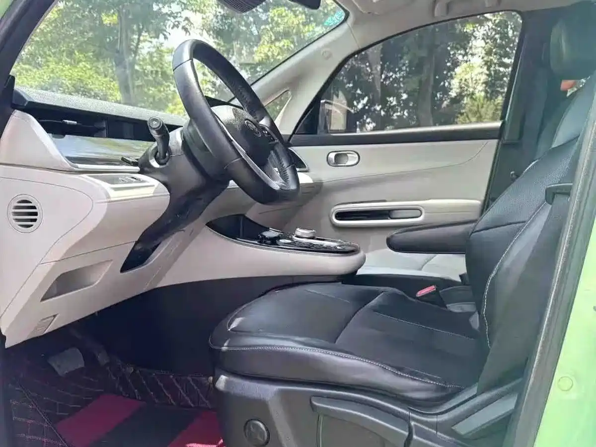 BYD D1 2021 2021 Pioneer Edition