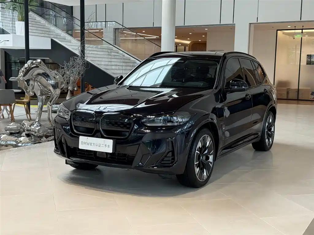 BMW iX3 2024 2023 Pioneer Type