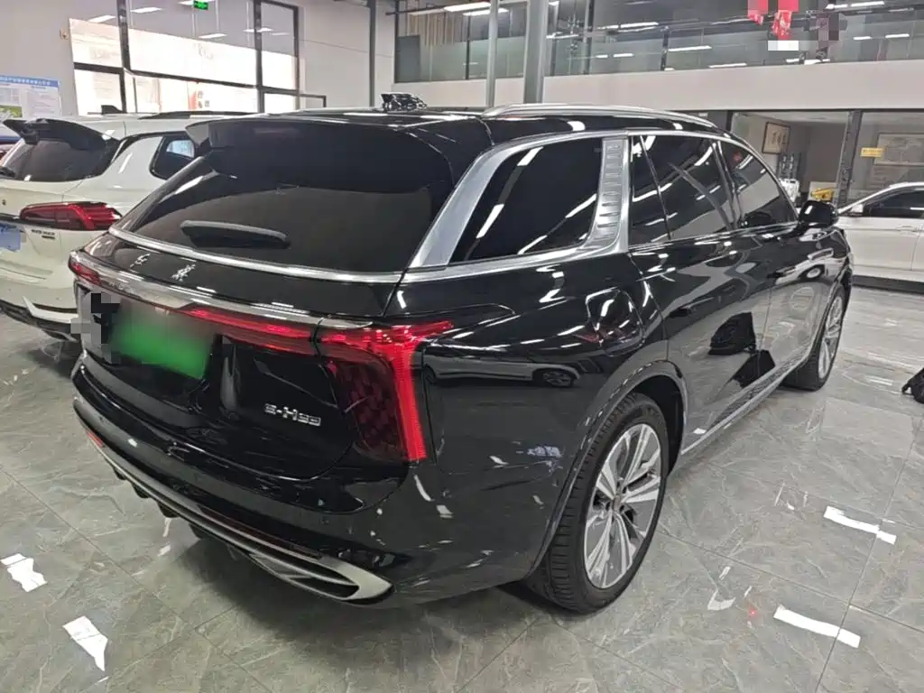 Photo 7 - Hongqi E-HS9