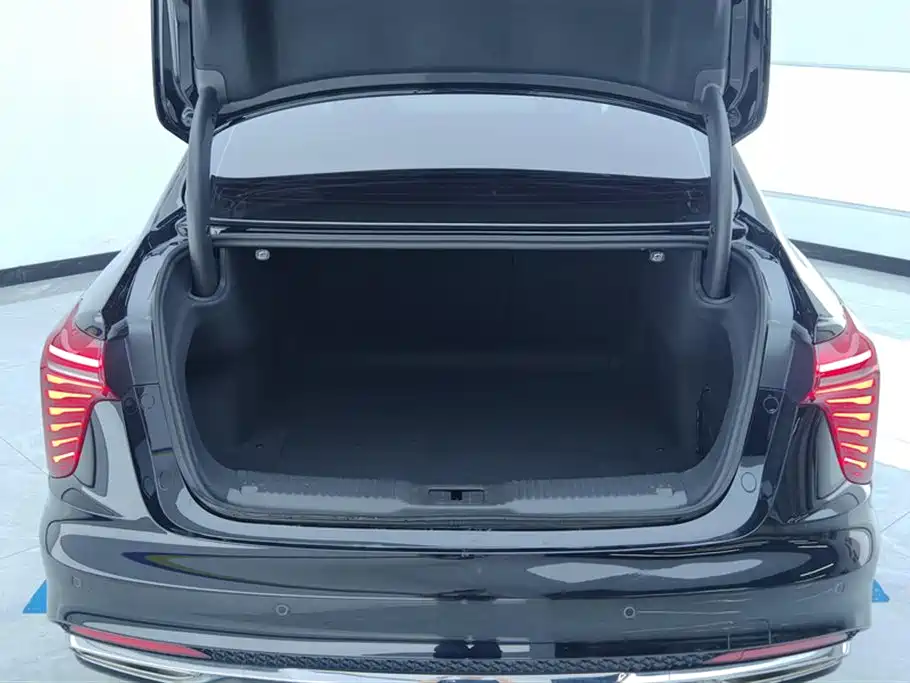 Hongqi H5 2024 1.5T DCT Smart Connect Flag Rhythm Edition фото 4