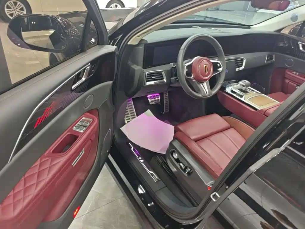 Photo 16 - Hongqi E-HS9