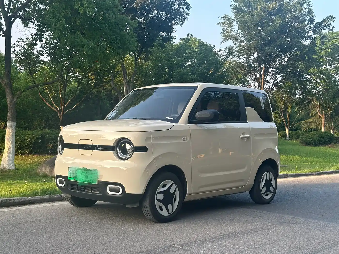 Geely Galaxy Panda 2025 Panda mini 210km Vitality Bear