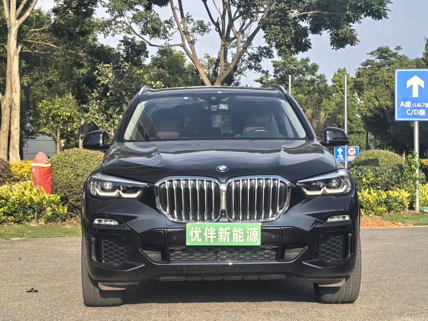 BMW X5 New Energy(Imported) 2020 xDrive45e M Sport Package фото 2