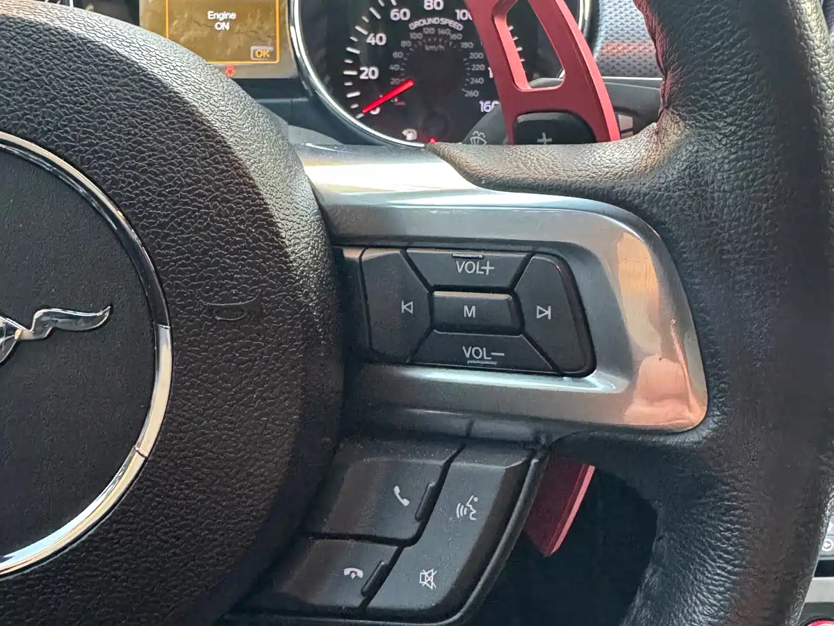 Ford Mustang 2015 2015 2.3T Performance Edition