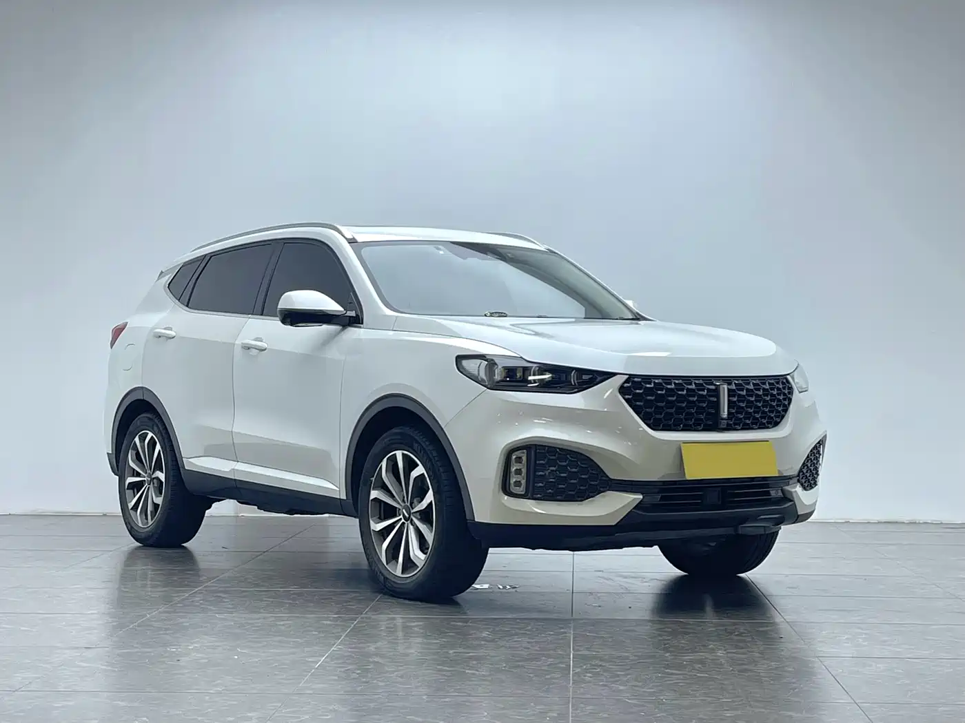 WEI PAI WEI BRAND VV6