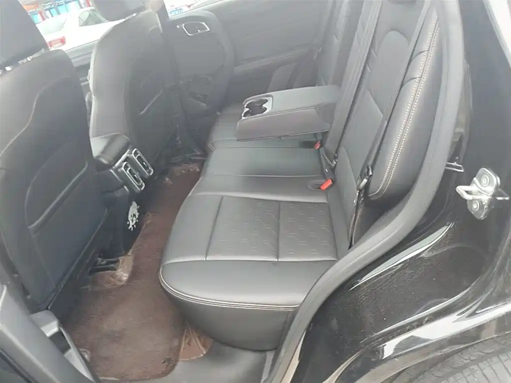 Haval Big Dog 2022 1.5T DCT FWD Labrador Edition фото 17