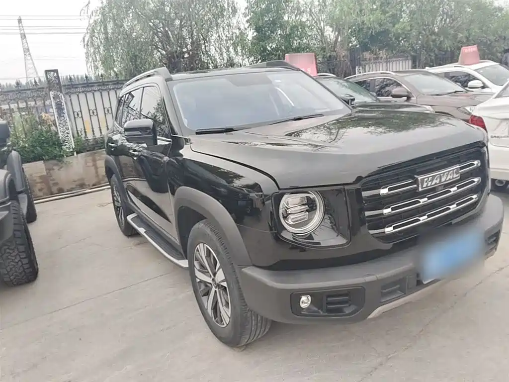 Haval Big Dog 2022 1.5T DCT FWD Labrador Edition фото 4