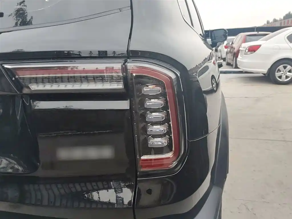 Haval Big Dog 2022 1.5T DCT FWD Labrador Edition фото 8