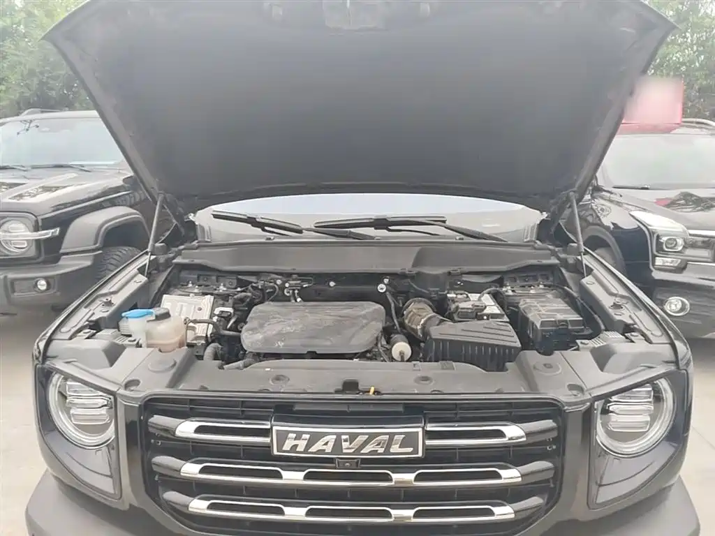 Haval Big Dog 2022 1.5T DCT FWD Labrador Edition фото 20