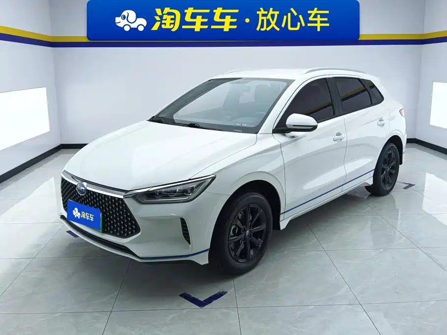 BYD e2 2021