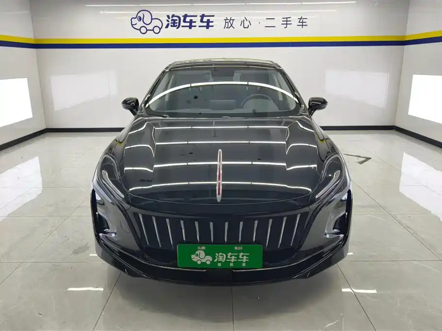 Hongqi E-QM5 2023 Facelift Basic Travel Edition фото 2