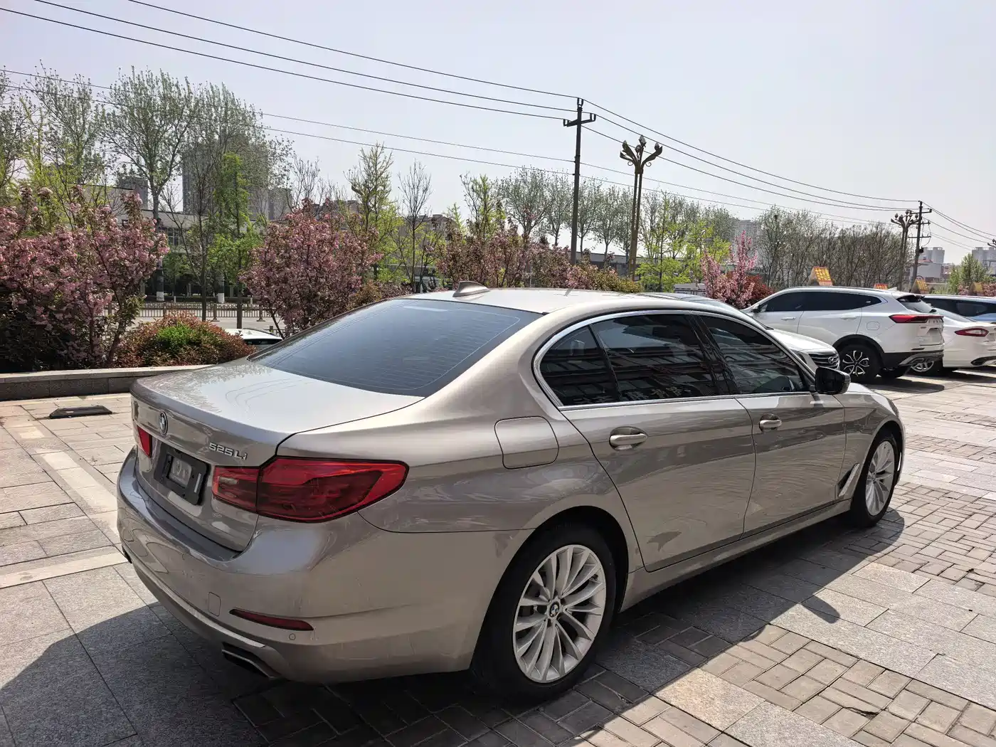 BMW 5 Series 2020 525Li Luxury Package фото 9