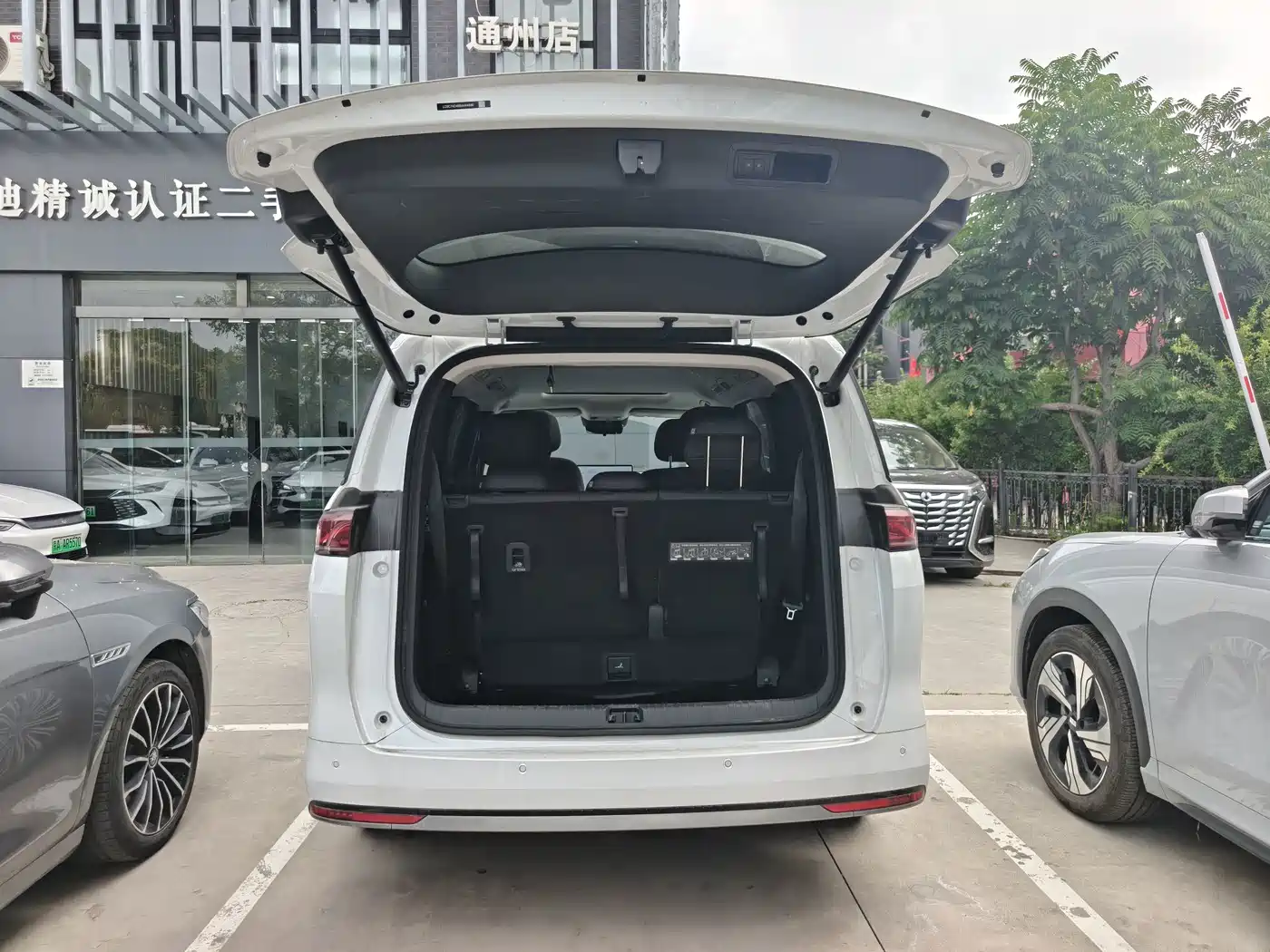 BYD M9 2025 2025 Model 1060 Pilot Edition