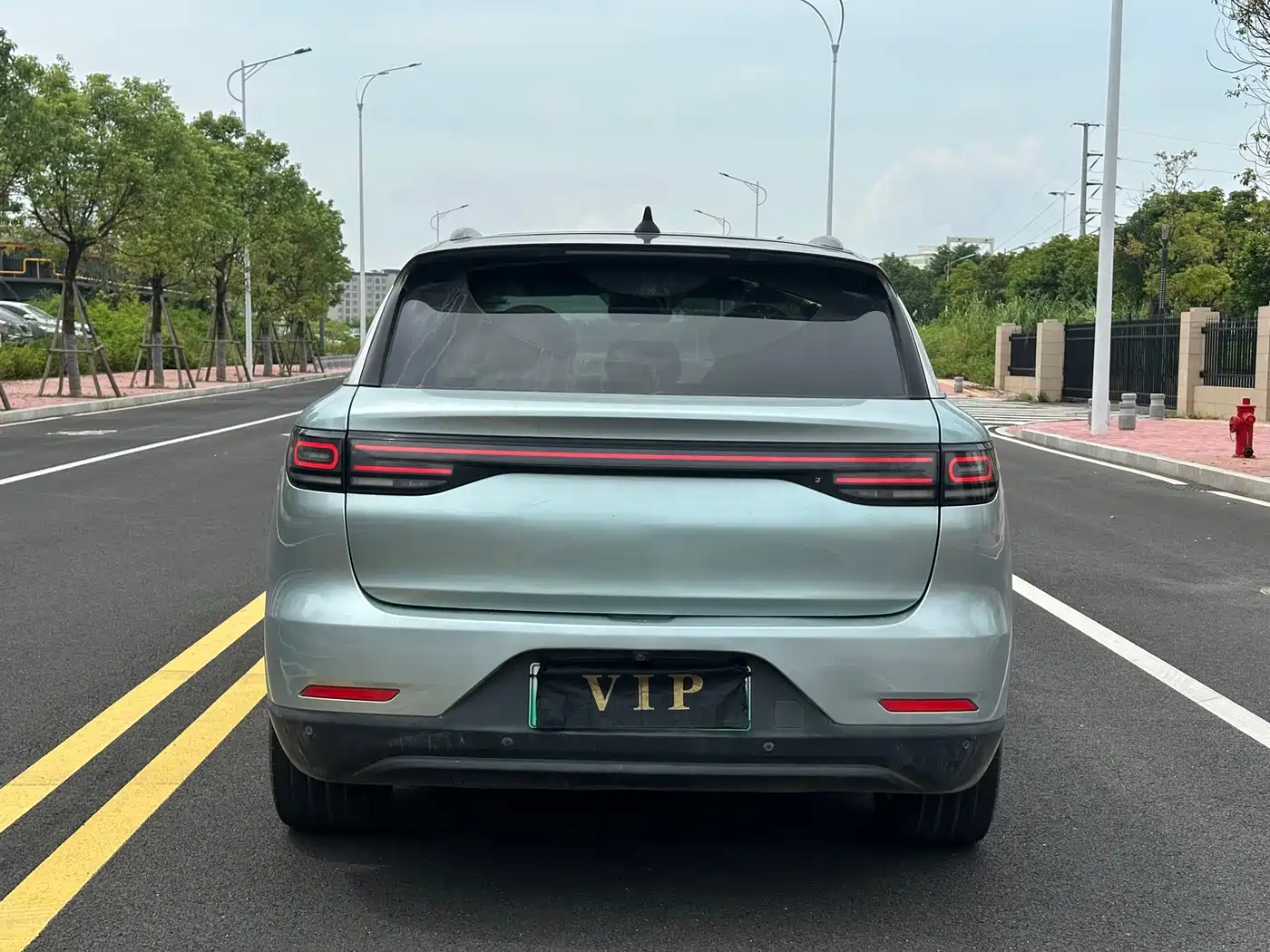 Leapmotor C11 2021 2021 Model Premium Edition