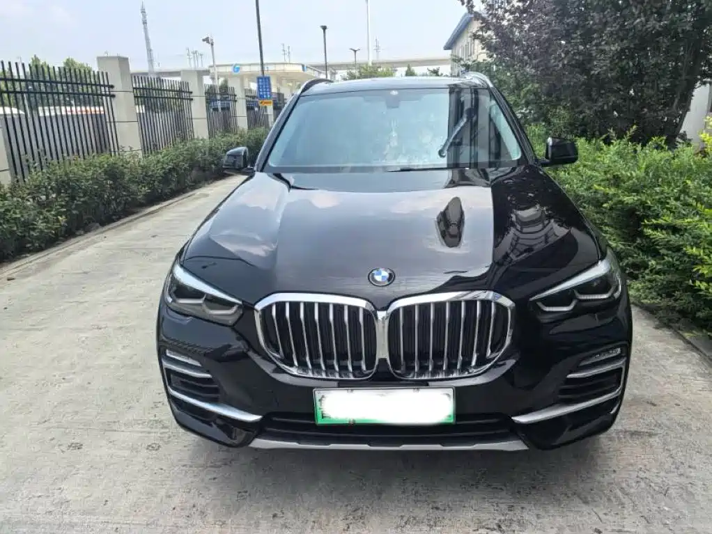 BMW X5 New Energy(Imported) 2023 2020 xDrive45e M Sport Package