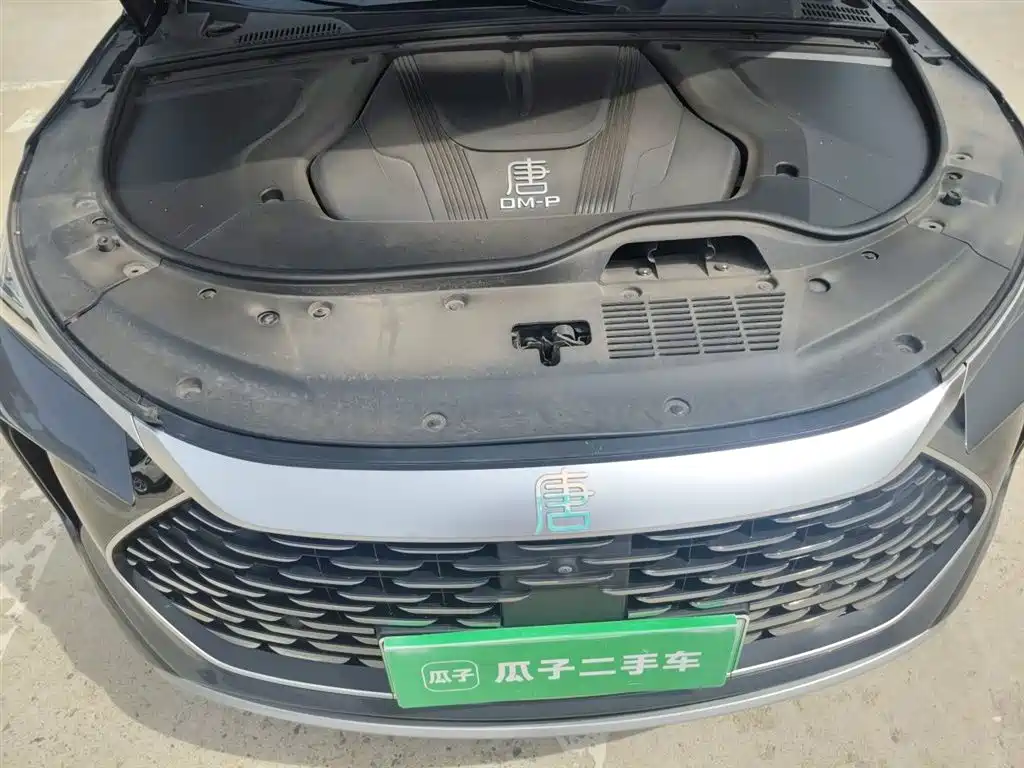BYD Tang New Energy 2022 DM-p 215KM AWD Flagship фото 17