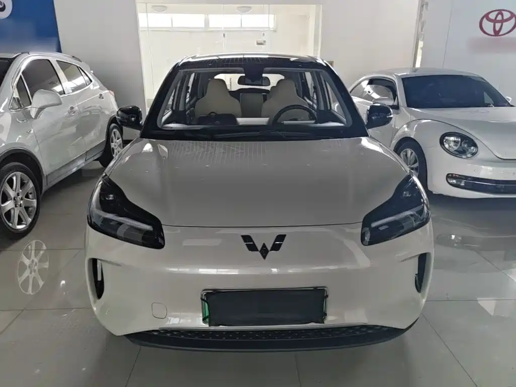 Wuling Motors Wuling Binguo PLUS 2025 2024 Model 330km 5-Seater