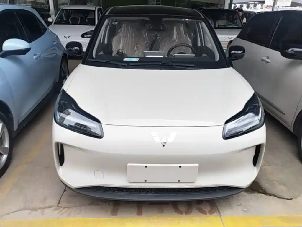 Wuling Motors Wuling Binguo PLUS 2026 2024 Model 330km 5-Seater