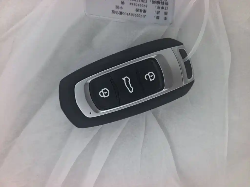 Geely Galaxy Panda 2026 2025 Panda mini 210km Vitality Bear