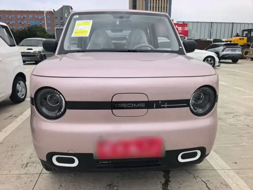 2026 Geely Galaxy Panda