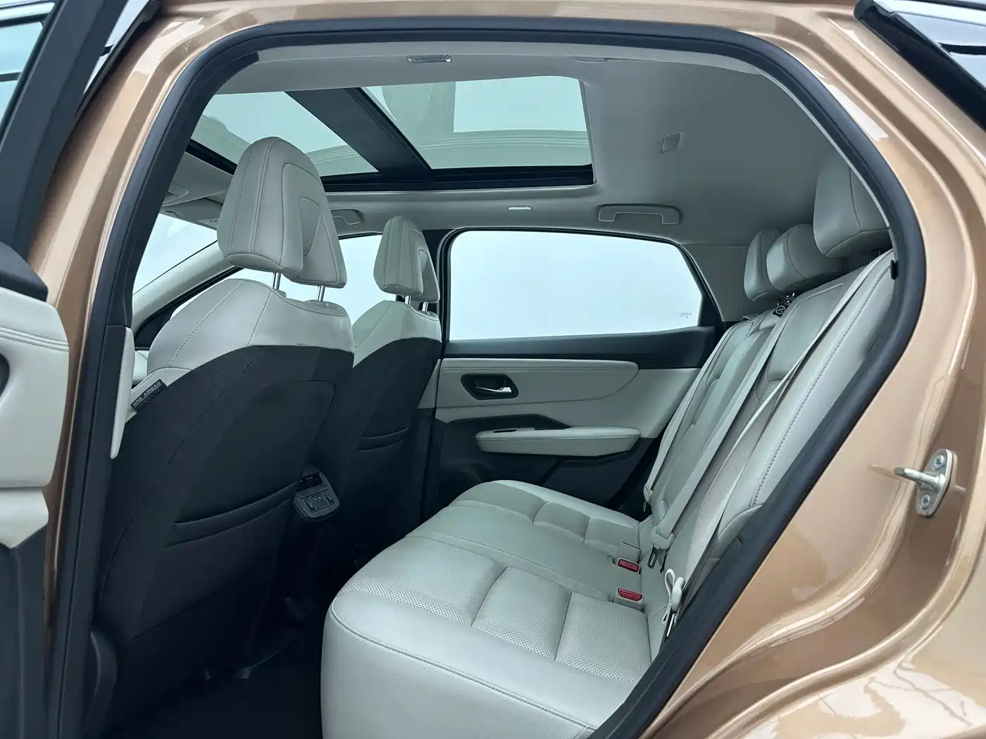 Nissan ARIYA 2023 2023 Model 500