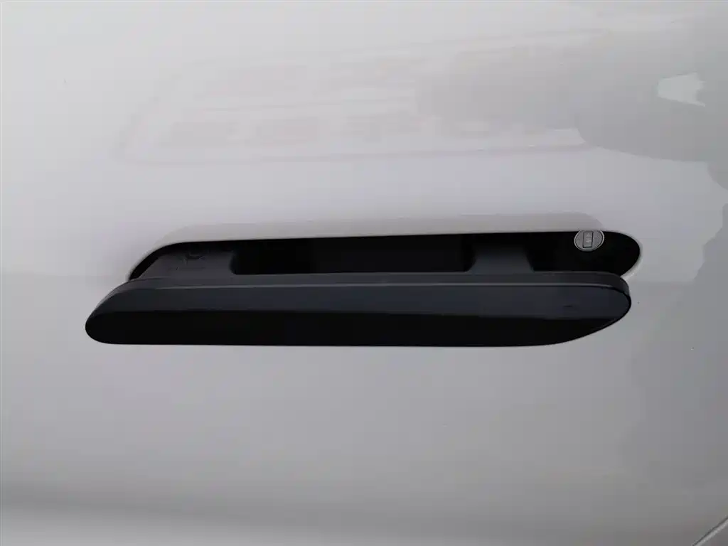 ARCFOX EXTREME FOX POLAR FOX ALPHA S