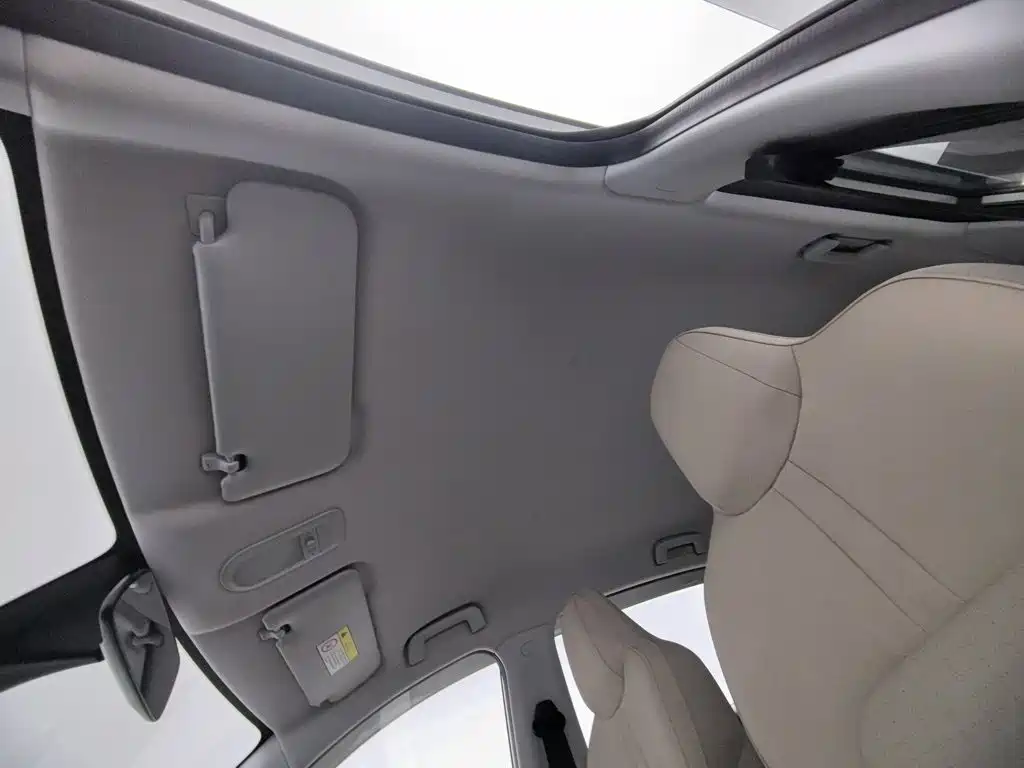 Wuling Motors Wuling Binguo PLUS 2025 2024 510km Range 5-seater
