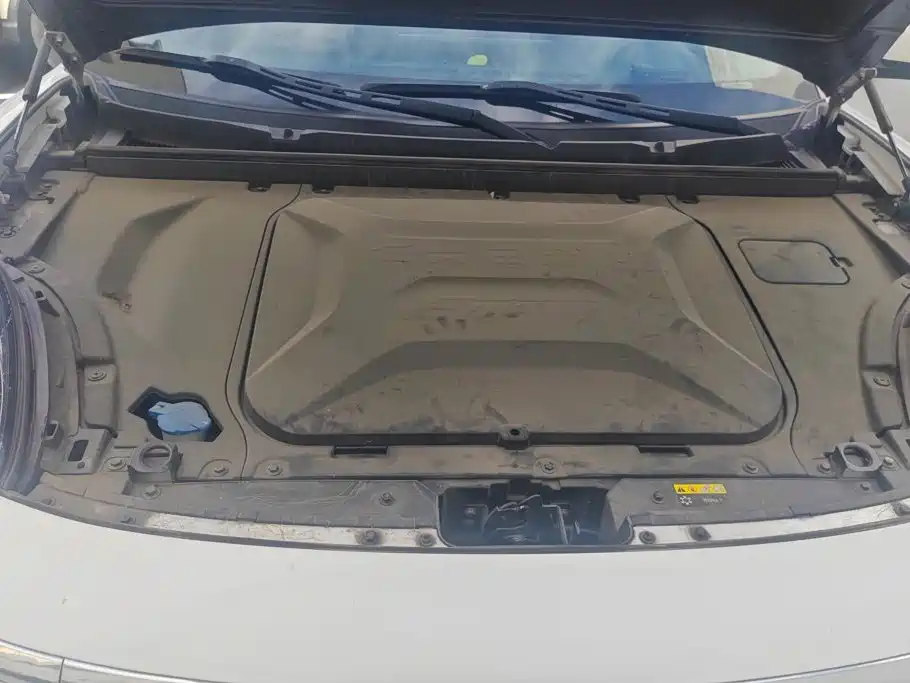 Chery New Energy Big Ant 2020 2020 High Energy Pro