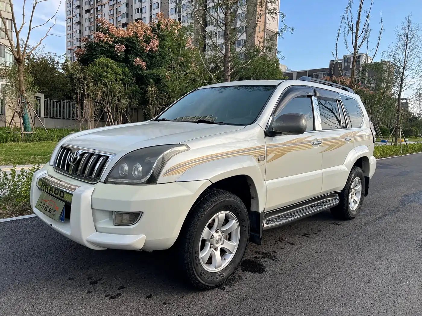 Toyota Prado (Import) фото 2
