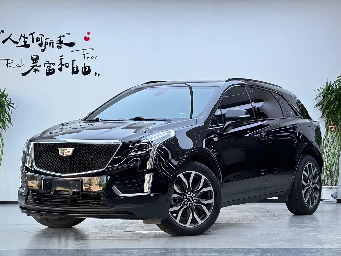 Similar car